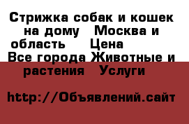 Стрижка собак и кошек на дому.  Москва и область.  › Цена ­ 1 200 - Все города Животные и растения » Услуги   